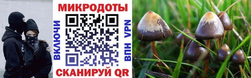 МЕГА tor Алзамай Псилоцибиновые грибы Psilocybe